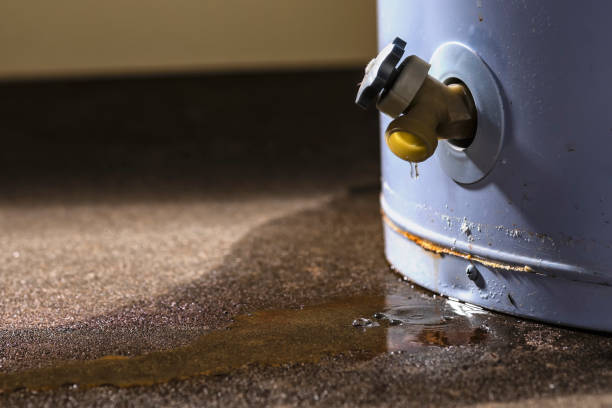 Best Carpet water damage restoration  in Mitchell, IN