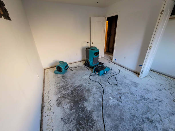 Best Residential water damage restoration  in Mitchell, IN