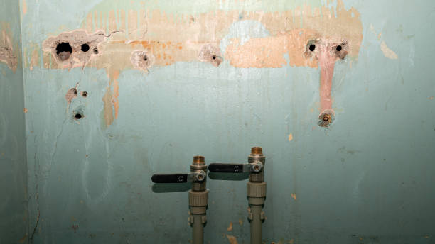 Best Water damage restoration cost  in Mitchell, IN