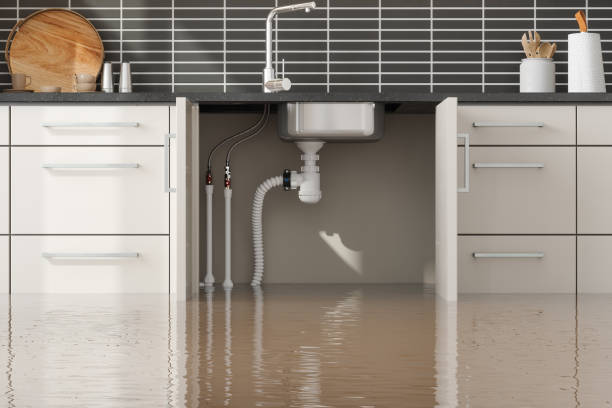 Best Basement water damage restoration  in Mitchell, IN