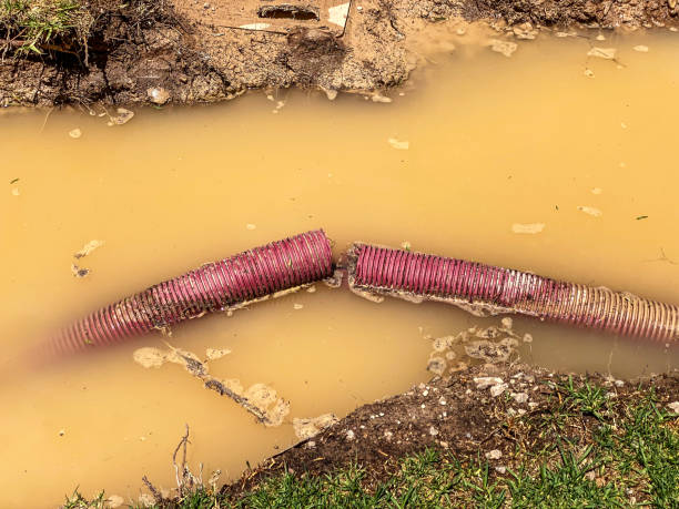 Best Emergency water damage restoration  in Mitchell, IN
