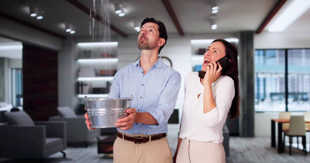 Best Flood restoration services  in Mitchell, IN