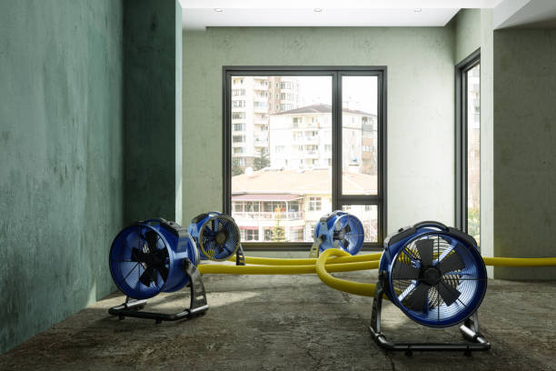 Best Commercial water damage restoration  in Mitchell, IN