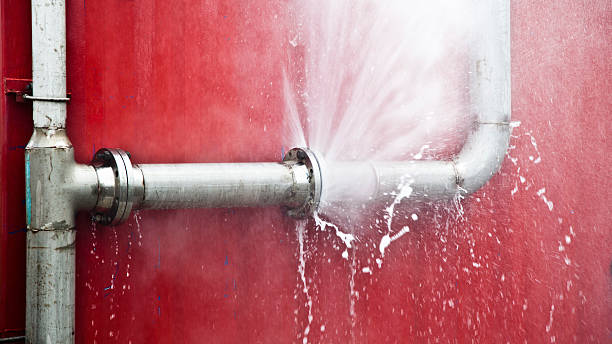 Best 24/7 water damage repair  in Mitchell, IN